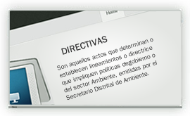 Directivas